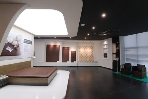 可喜安家庭喜迎新力量，健康咨詢服務(wù)為行業(yè)注入新活力